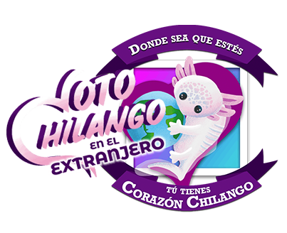 diputación migrante