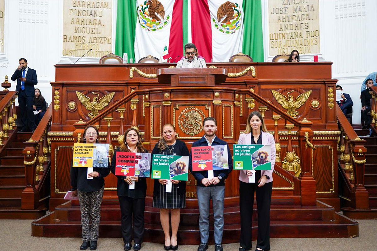 PASO HISTÓRICO PROHIBIR LA EXHIBICIÓN FÍSICA DE ANIMALES EN VENTA: CHUCHO SESMA