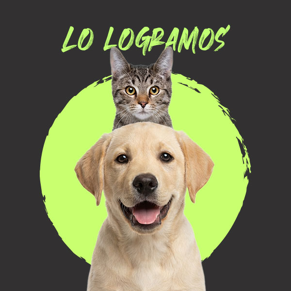 PASO HISTÓRICO PROHIBIR LA EXHIBICIÓN FÍSICA DE ANIMALES EN VENTA: CHUCHO SESMA