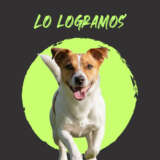 APRUEBA CONGRESO CDMX PROPUESTA VERDE PARA QUE ALCALDÍAS PUEDAN CREAR ZONAS DE RECREACIÓN PARA PERROS EN PARQUES