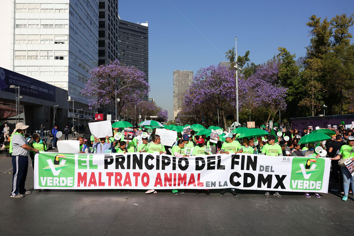 CORRIDAS DE TOROS SIN SANGRE, EL PRINCIPIO DEL FIN DE LA TAUROMAQUIA: JESÚS SESMA