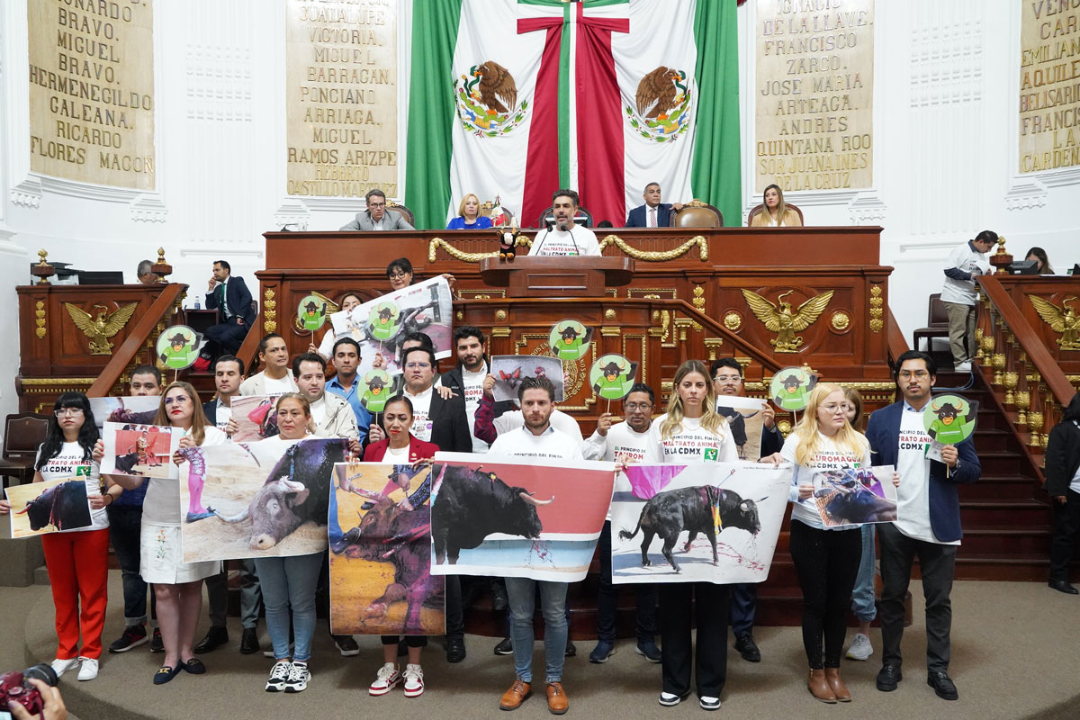 CORRIDAS DE TOROS SIN SANGRE, EL PRINCIPIO DEL FIN DE LA TAUROMAQUIA: JESÚS SESMA