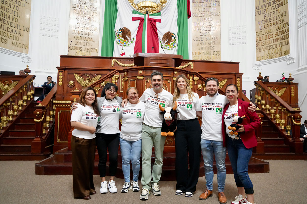 CORRIDAS DE TOROS SIN SANGRE, EL PRINCIPIO DEL FIN DE LA TAUROMAQUIA: JESÚS SESMA