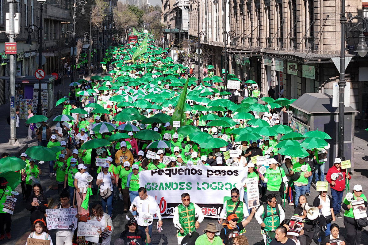 CORRIDAS DE TOROS SIN SANGRE, EL PRINCIPIO DEL FIN DE LA TAUROMAQUIA: JESÚS SESMA