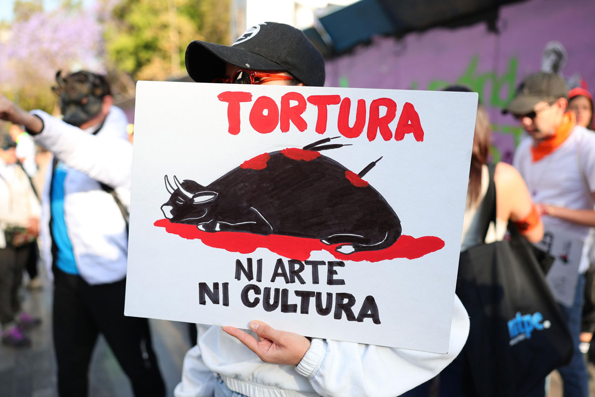 CORRIDAS DE TOROS SIN SANGRE, EL PRINCIPIO DEL FIN DE LA TAUROMAQUIA: JESÚS SESMA