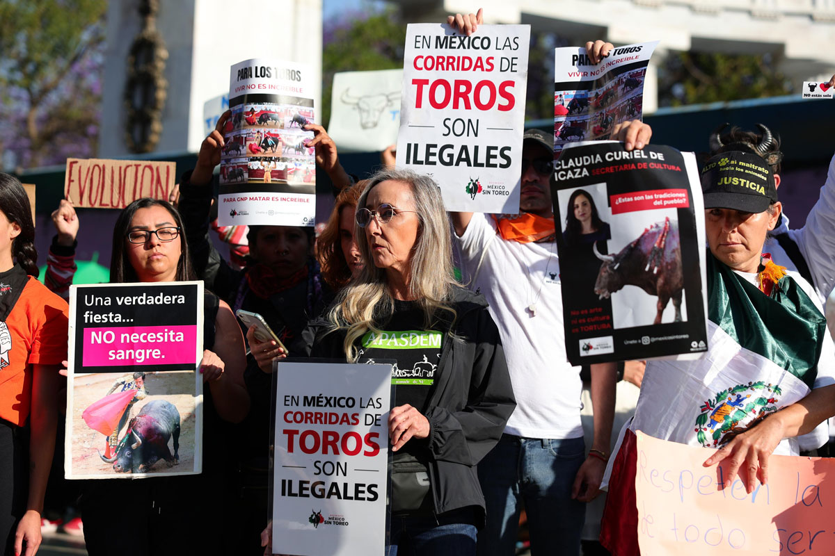 CORRIDAS DE TOROS SIN SANGRE, EL PRINCIPIO DEL FIN DE LA TAUROMAQUIA: JESÚS SESMA